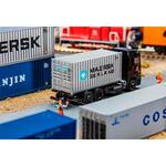 20\' Container MAERSK SEALAND