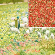 Blütenflocken Sommerblumen