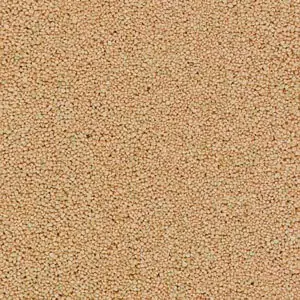 Schotter Beige