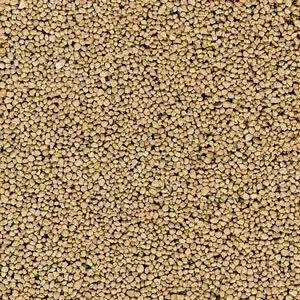 Schotter beige