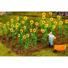 16 Sonnenblumen