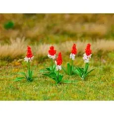32 Orchideenprimeln