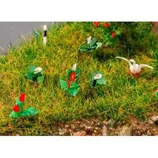 18 Lilien