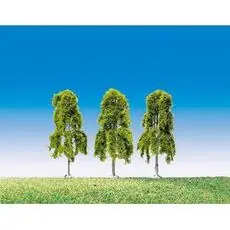 3 Hängebirken Top Serie
