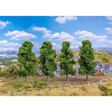 4 Säuleneichen