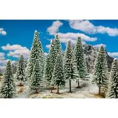 18 Wintertannen