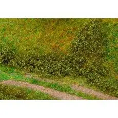 Blätterfoliage, sommergrün