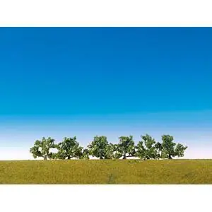 6 Büsche, weiß blühend