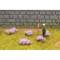 Blütenbüschel, violett Blütenbüschel, violett