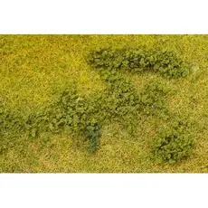 Blätterfoliage, grün Blätterfoliage, grün