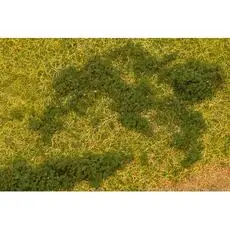 Blätterfoliage, dunkelgrün Blätterfoliage, dunkelgrün