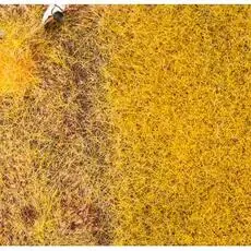 PREMIUM Streufasern Stroh, 6 mm, 30 g