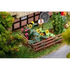 Blumen im Vorgarten