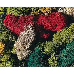 Islandmoos, gemischt, verschiedene Farben, 80 g