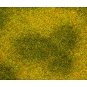 PREMIUM Landschafts-Segment, Wiese, hell
