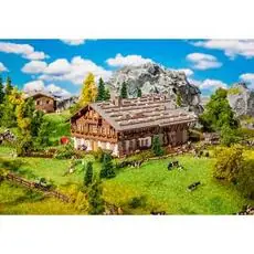 Großer Alpenhof mit Scheune