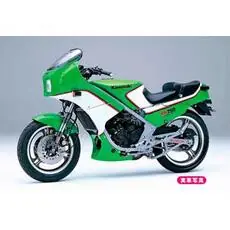 1/12 Kawasaki KR250