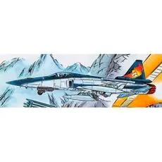 1/48 Area 88, F-20 Tigershark Shin Kazama
