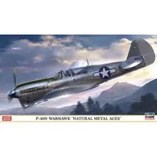 1/48 P-40N Warhawk Natural Metal Aces