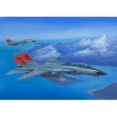 1/48 F14D Super Tomcat