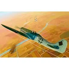 1/48 Focke-Wulf FW 190 D11