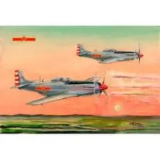 1/48 D51D Mustang, PLAAF