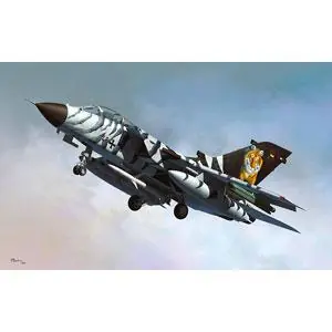 1/48 Tornado ECR