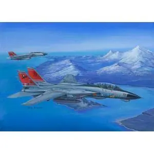 1/48 F14D Super Tomcat