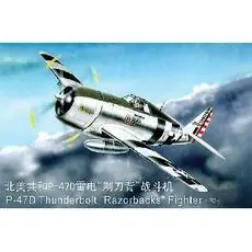 1/32 P-47D Razorback Fighter