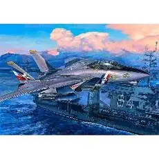 1/32 F14D Super Tomcat