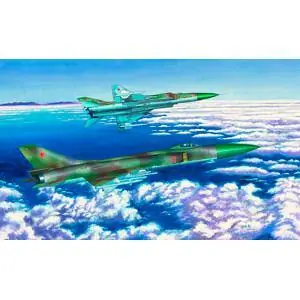 1/72 Su 15 TM Flagon-F