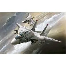 1/144 F-14