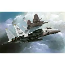 1/144 F-15C