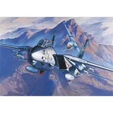 1/72 F-14A