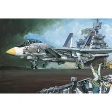 1/72 USN F-14A Vf-143 Pukin Dogs