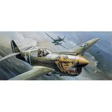 1/72 P-40E