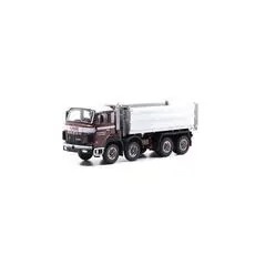 1/87 Berna D290B F8x4 Kipper Wuthrich