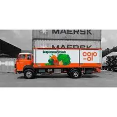 1/87 Berna D290B F4x2 Frigo Coop