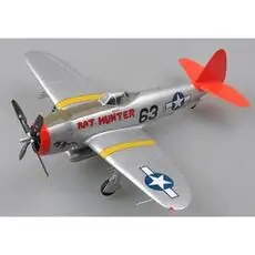 1/48 P-47D Rat Hunter
