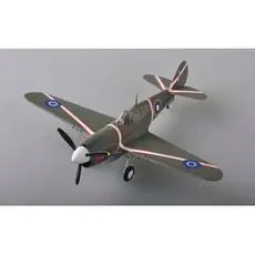 1/48 P40M US