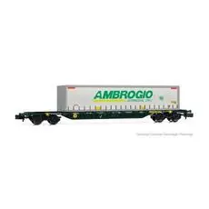 CEMAT, Containerwagen Sgnss, grün, beladen mit AMBROGIO Vorhang-Seiten-Swap-Karosserie, Ep. V-V CEMAT, Containerwagen Sgnss, grün, beladen mit AMBROGIO Vorhang-Seiten-Swap-Karosserie, Ep. V-V