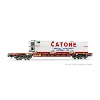 FS, Containerwagen Sgnss, braun, beladen mit CATONE-Kühlcontainer, EP. V-VI