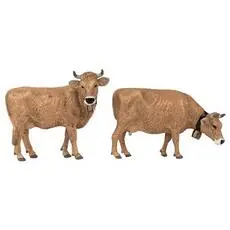 Allgäuer Braunvieh