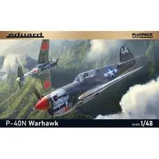 P-40N Warhawk in 1:48