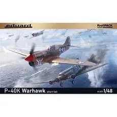 P-40K short tail in 1:48 P-40K short tail in 1:48