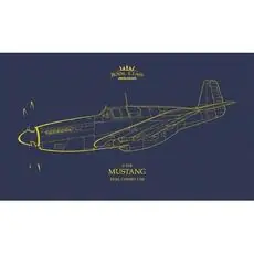 P-51B Mustang 1/48 EDUARD-ROYAL CLASS in 1:48
