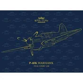 P-40K Warhawk DUAL COMBO in 1:48
