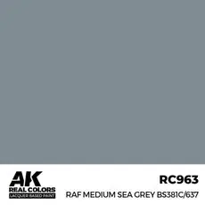Real Colors: RAF Medium Sea Grey BS381C/637 17 ml.