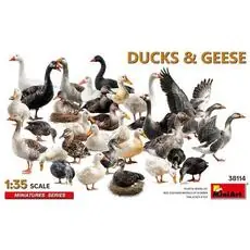 Ducks & Geese in 1:35 Ducks & Geese in 1:35