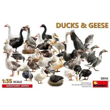 Ducks & Geese in 1:35